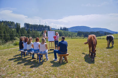 Team sitzt auf Holzhockern vor dem Flipchart. Simone und Jana stehen am Flipchart und coachen. Pferde stehen daneben. Team Events im Allgäu mit Pferden.