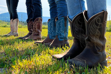 Western Boots auf grüner Wiese