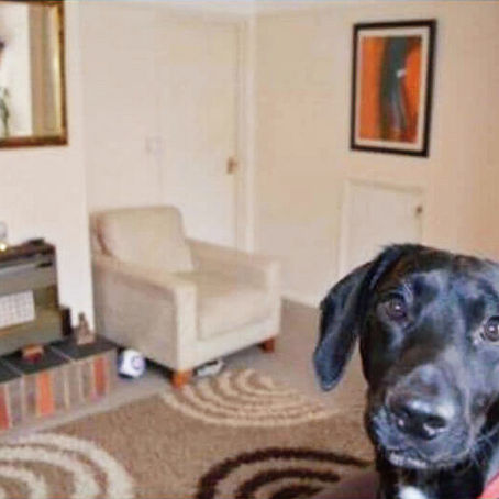 Estate Agents: Myths, Misconceptions & Things We’re Definitely Not Responsible For