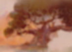 bubbles_book_tree_website highres 3.jpg