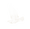 Oiseau