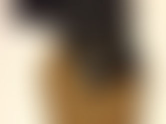 Equipment: Galco Royal Guard