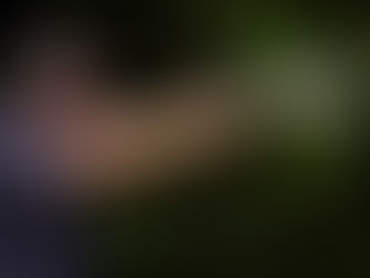 Scott Jedlinski - Modern Samurai Project