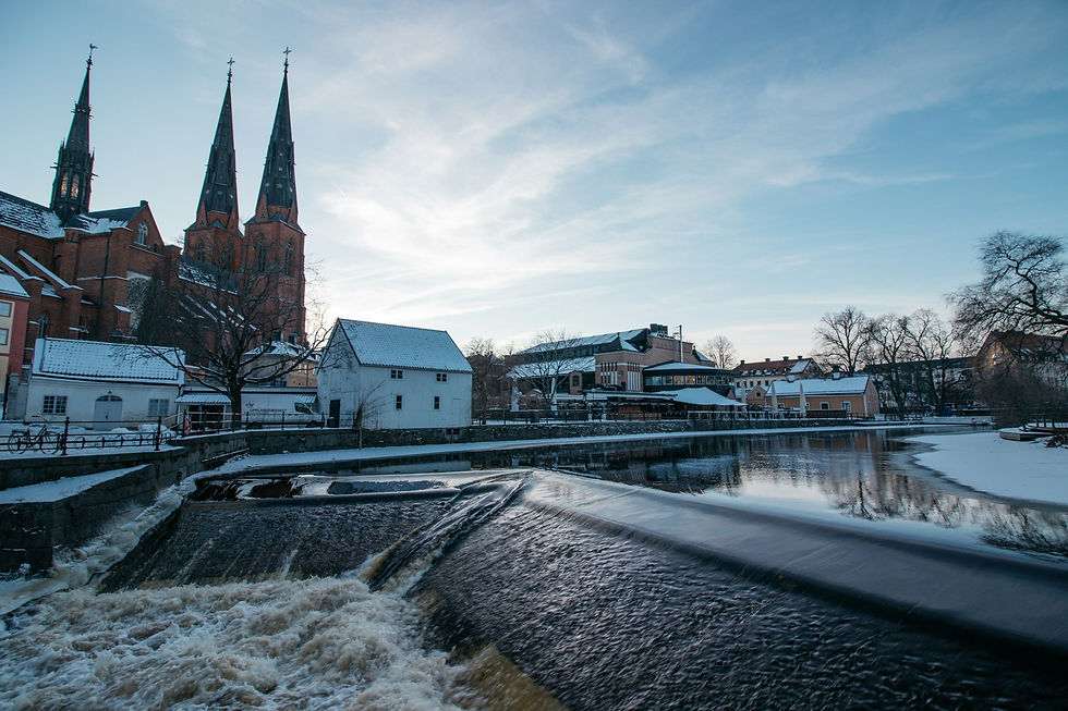 uppsala2.jpg
