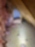 IMG_6952.jpeg