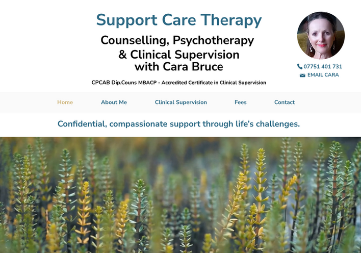 Cara Bruce Counselling