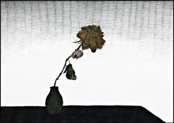 I_can’t_wait_to_be_dead