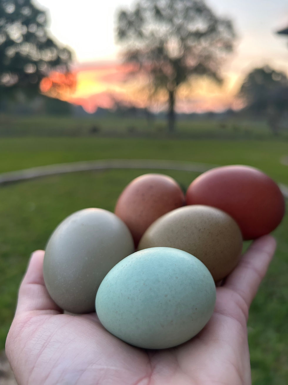 Thumbnail: Rainbow Dozen