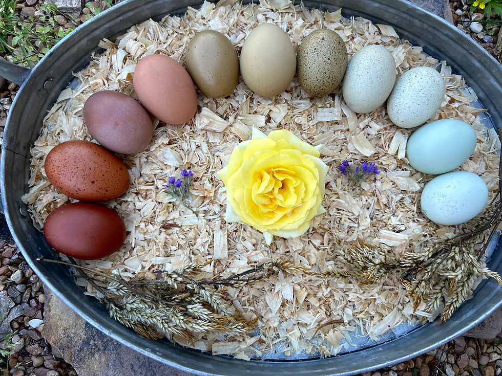 Thumbnail: Rainbow Dozen