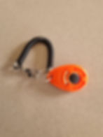 dog clicker training geelong