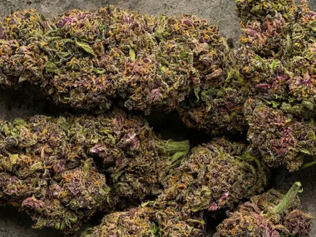 Honey Buzz Dry Herb is a HIT!