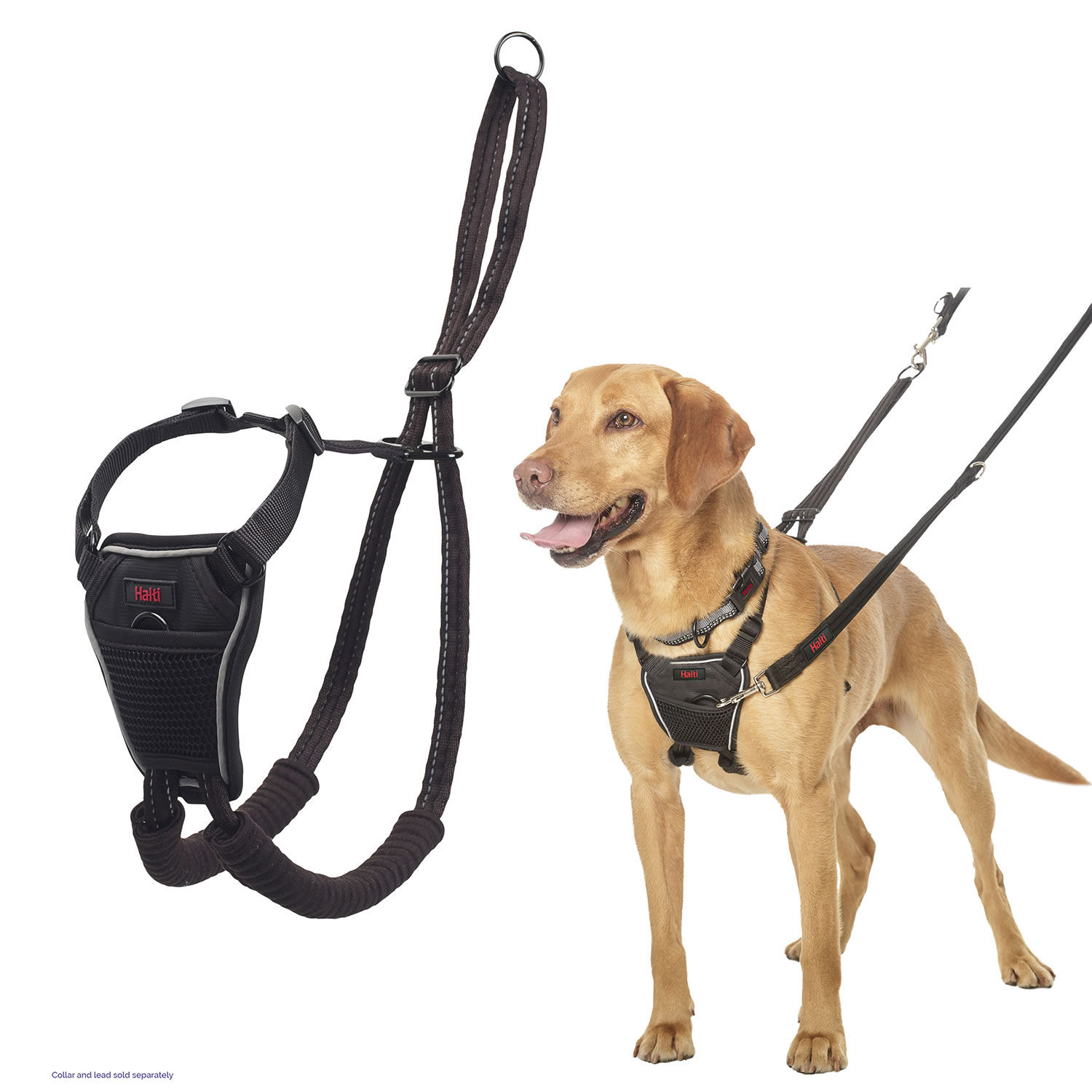 Halti Training Harness