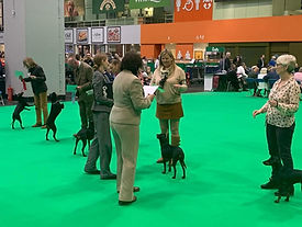Rosie Crufts