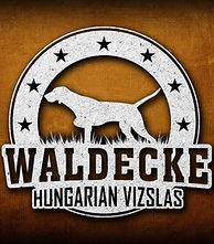 Waldecke logo 2018