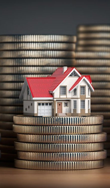 houses on coins_edited.jpg