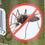Thumbnail: Detail BCB Insectenbestrijdings Stick