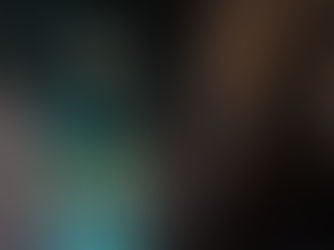 Orgel: ein Instrument, viele Klangwelten 