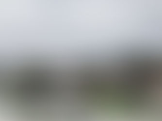 Zur Debatte über die Verteidigungsfähigkeit der Schweizer Armee