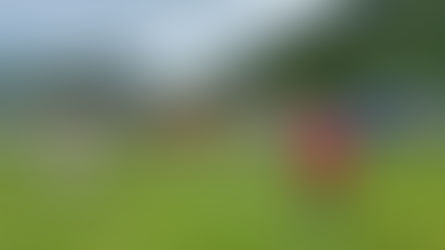 Ich kann nicht, gibt's nicht.