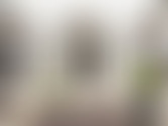 Von der Rumpelkammer zum Gourmettempel – Die Verwandlung des Château Attisholz