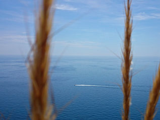 Voyage, voyage...