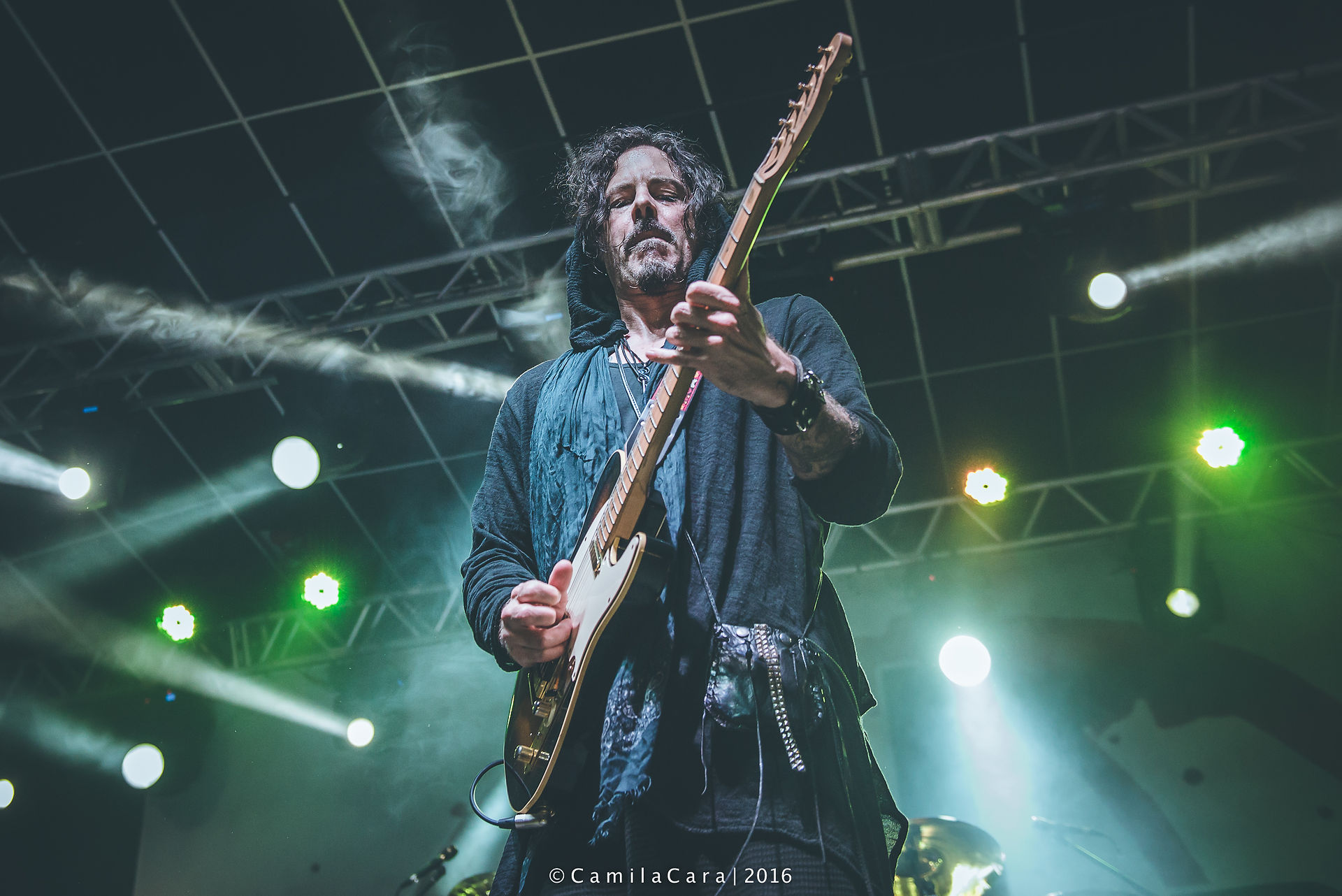 Winery Dogs