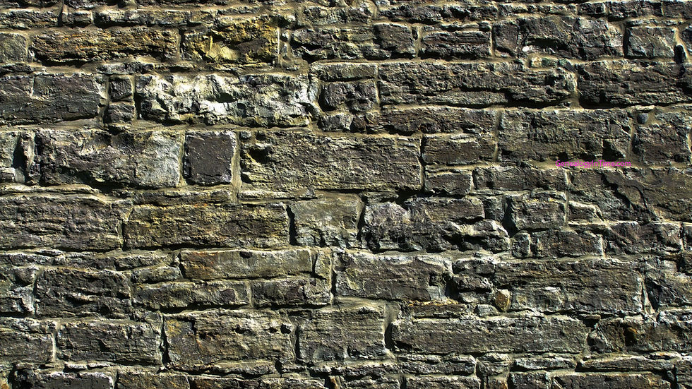 desktop-1920x1080.jpg