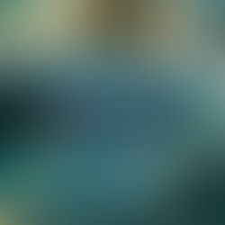 Book Review: Parting the Veil by Paulette Kennedy