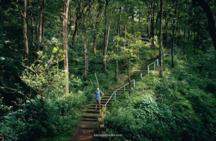 Hubli to Srisi 1 Day Tour Package.