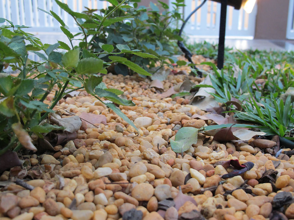 Jardim com Seixos de Rio (16)