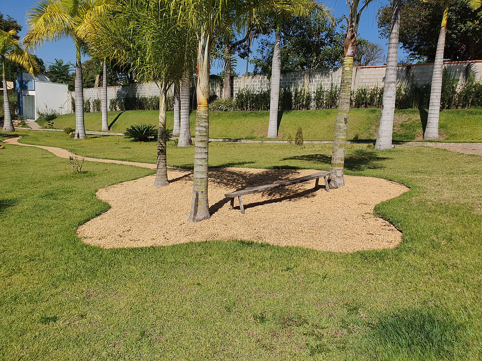 Jardim com Seixos de Rio (1)