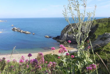 Man O'War Beach, Jurassic Coast.