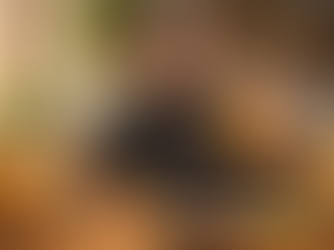 Como fazer ginger beer artesanal em casa: fermentado e com gás natural