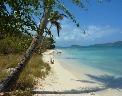 Tobago Cays Beach
