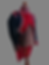 Thumbnail: French line infantry drummer habit (coat) 1801-1812