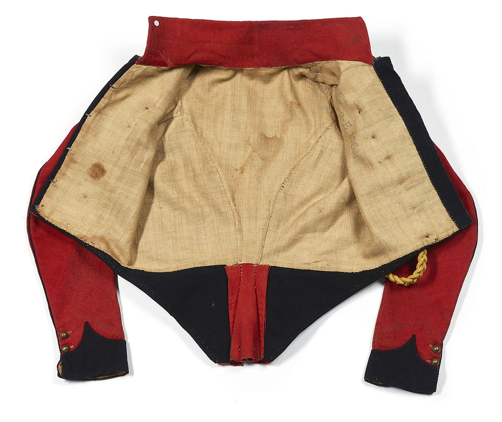 Thumbnail: Kurtka of Polish/Dutch/French lancers