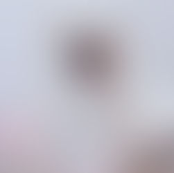 ぽんず♂/ポメラニアン