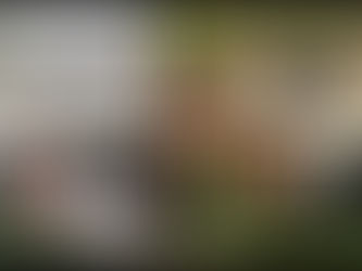 Home Electrification Part One - Windows and Attic