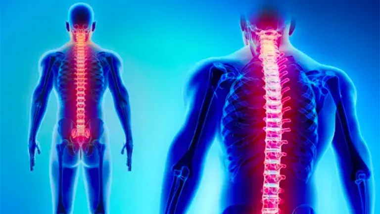 Anatomia-da-Coluna-Cervical.webp