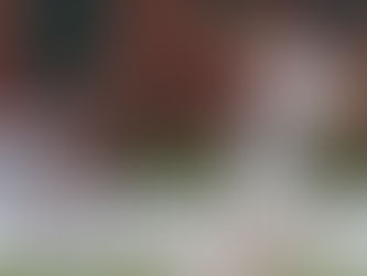 Simon Hill's Top 5 Centuries: #1 - 137* vs Footscray Round 16, 2016/17