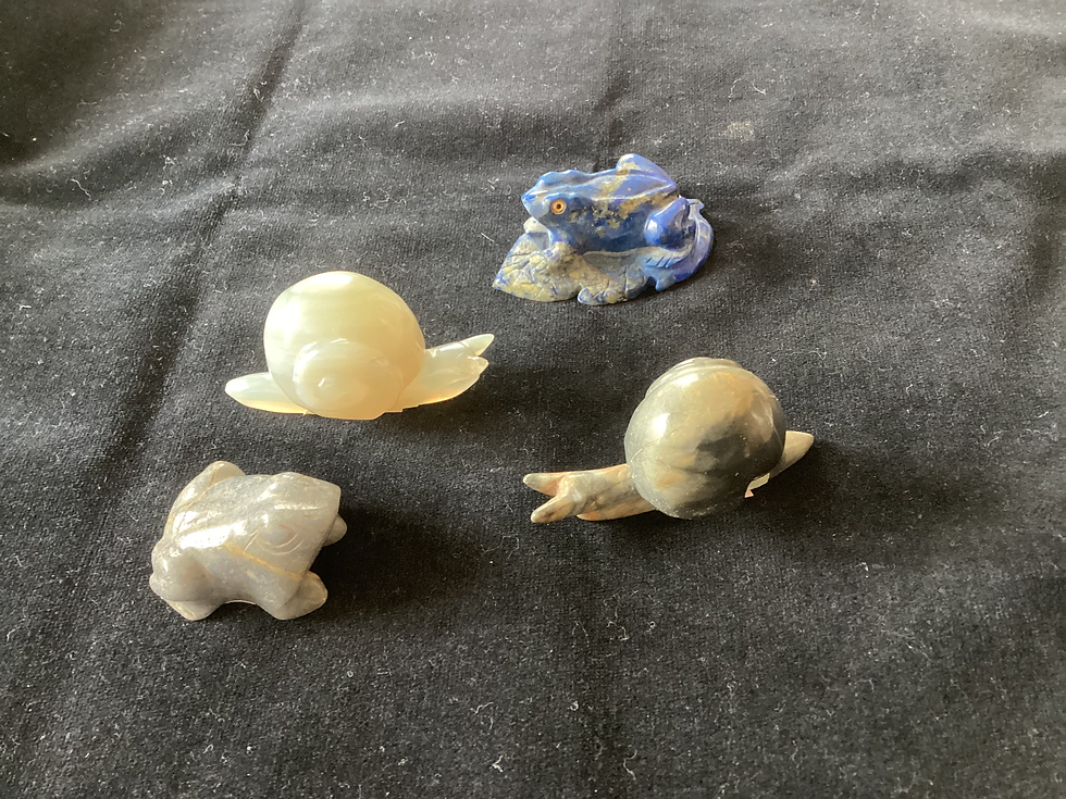移転先探し