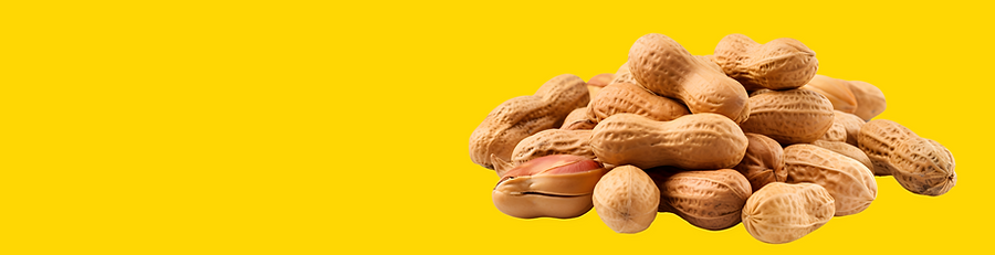 Peanut graphic