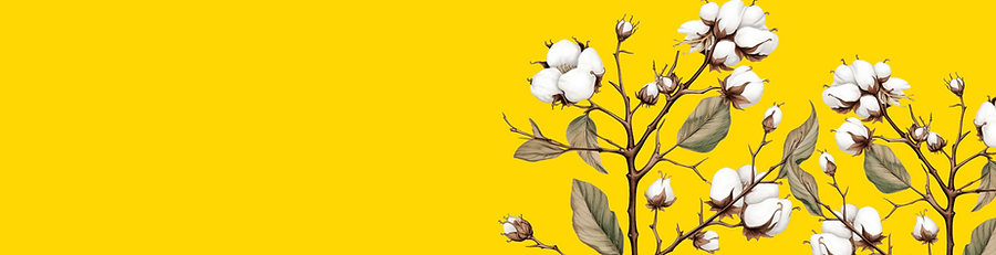 Cotton graphic