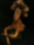 962803_10200611107702707_973514946_n.jpg
