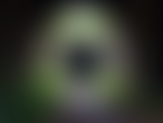 Eye-level view of a historic coal mine entrance in Harlan County