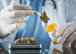 Understanding the Impact of Kentucky's Medical Marijuana Program on Gun Owners