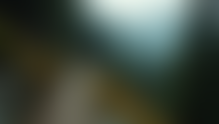 High angle view of rugged mountain trail winding through dense forest