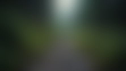 Misty forest path with rocks and green foliage leading into dense trees, creating a serene, tranquil mood. Slightly foggy ambiance.