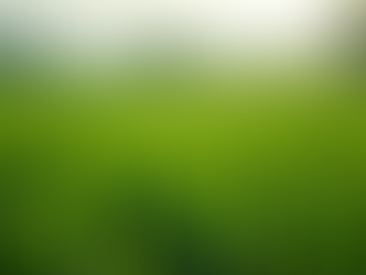 Eye-level view of a lush green farm field with diverse crops growing