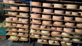 Wie Rohmilchkäse heute auf der Alp entsteht